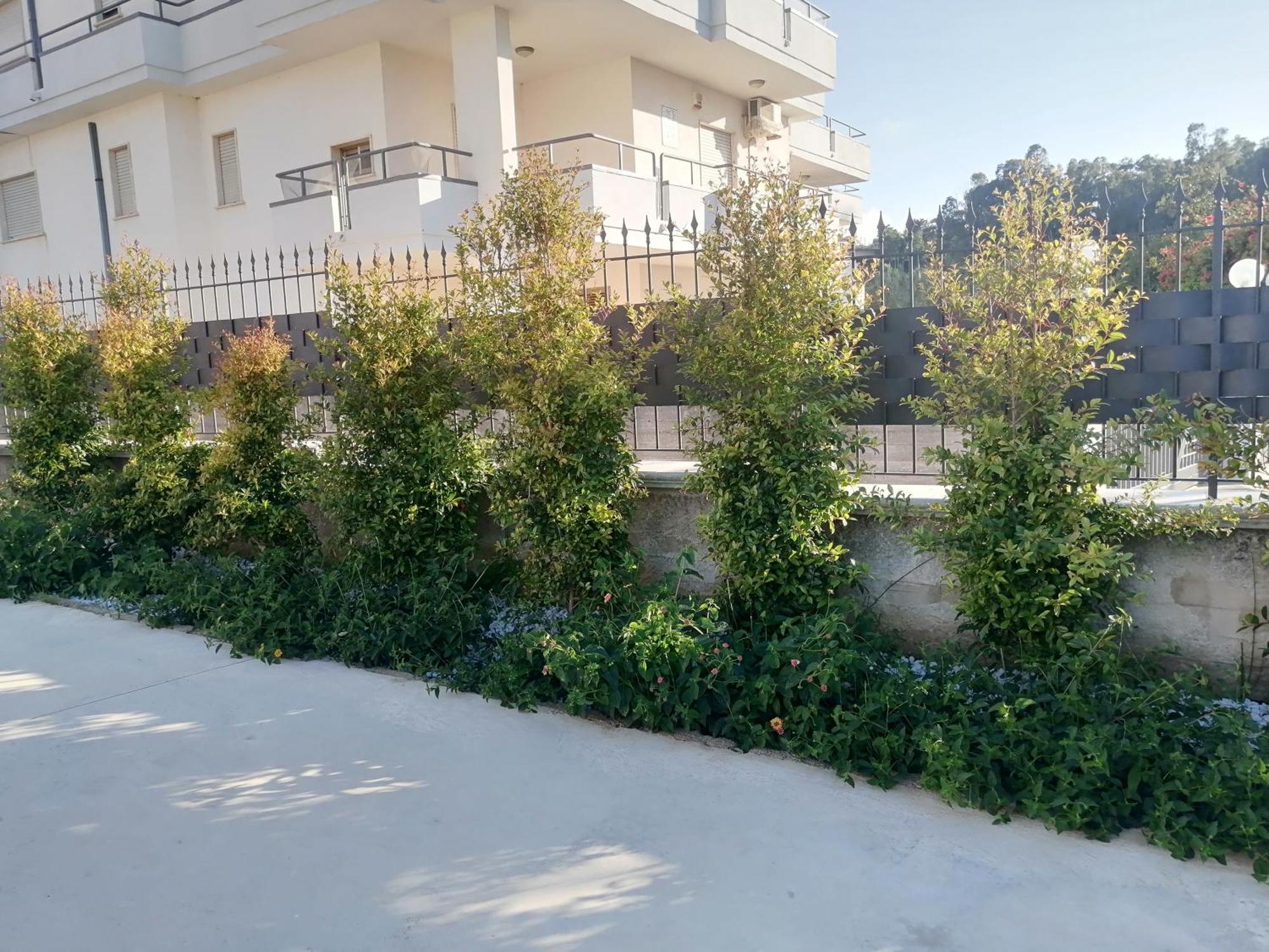 Residence Mare Azzurro Balestrate Esterno foto